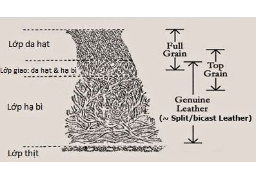 Cấu trúc của da Genuine leather và da Full grain